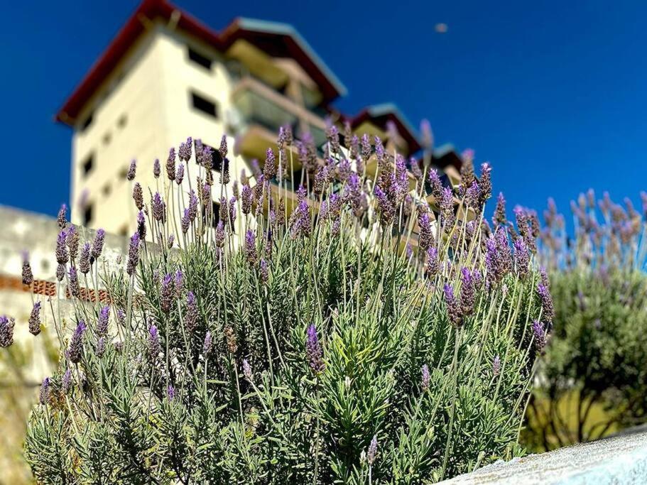 Ferienwohnung Lindo Apartamento Na Montanha! Águas de Lindóia Exterior foto